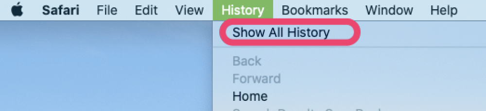 check history safari mac