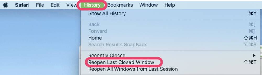 where is history on safari macbook
