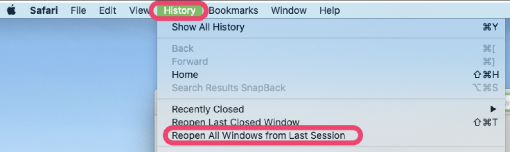 check history safari mac